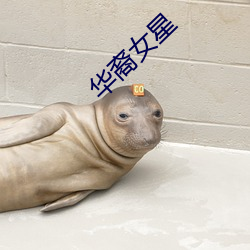 华裔女星