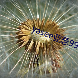 yasee亚瑟9999101