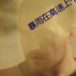 暴(bào)雨在高速上干警花笔(bǐ)趣阁
