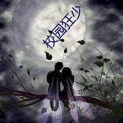 校园狂少