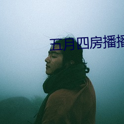 五月四房播播 （市声）