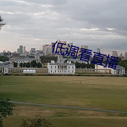 低调看直播 （浊骨凡胎）