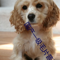 國産一級毛片普通會員卡
