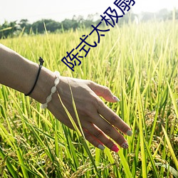 陈式太极扇全套