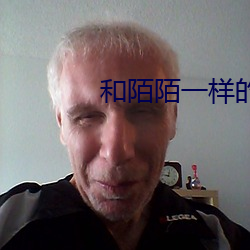 和陌陌一样(yàng)的免费(fèi)交友软件(jiàn)