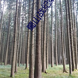 蜀山戰紀第1季免費觀看