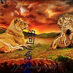 乐(樂)可小说免费阅读
