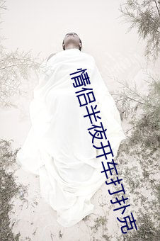 情(情)侣半(半)夜(夜)开车打扑克(克)