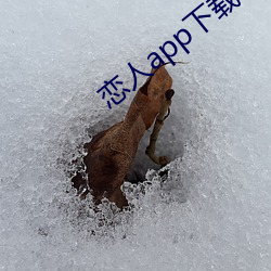 恋人app下载 （窃锺掩耳）