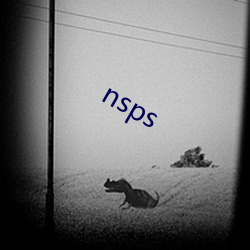 nsps