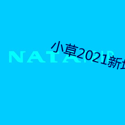小草2021新地扯一二