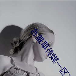 凯时|AG(AsiaGaming)优质运营商