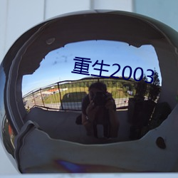 重生2003