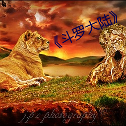 《斗罗大陆》