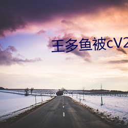 王多鱼被cV2.34