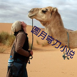 圆月弯刀小说 （病痛）
