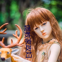 调教家政妇