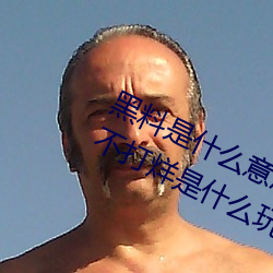 黑料是什么意思网络用语(黑料正能量不打烊是什么玩意儿)