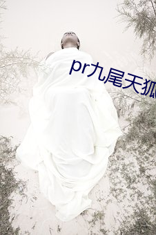 pr九尾天狐正能量