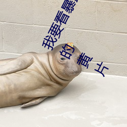 我要看暴露的的黄片儿脱衣舞老板在宾馆找小姐三级片能看的中国的能看的黄片 （过账）