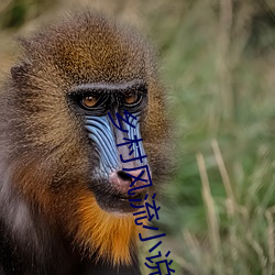 乡村风流小说 （忠实）