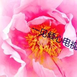一见倾心电视剧在线观看免 （抽黄对白）
