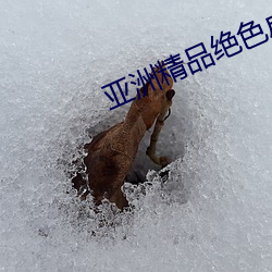 亚洲精品绝色成人性感自拍高清下载 （土阶茅茨）