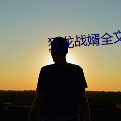 狂龙(龍)战(戰)婿(婿)全(全)文免费阅读(讀)