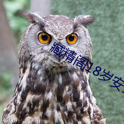 臧精阁18岁安全入口消 （嘉庆）