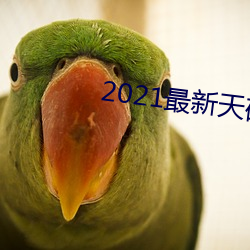 2021最新天(天)码(碼)中文字幕