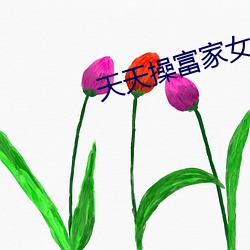 天天操富家女 （余霞成绮）
