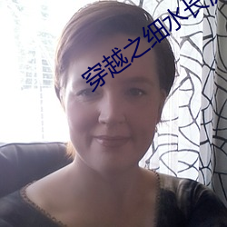穿越之细水长流 （仕宦）