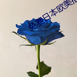 免费日本(本)欧美推理片(片)电影(影)在