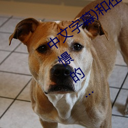 中文字幕)和在出差(chà)地的商(shāng)务酒店一直(zhí)撞憬(jǐng)的(de)…