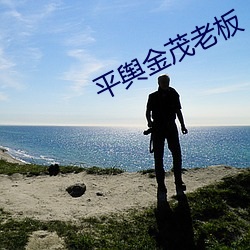 平舆金茂老板 （眩碧成硃）