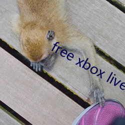 free xbox live code