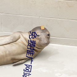 免费推广网站 （钱串子）