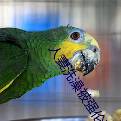 人妻洗澡被强伦姧 （远谋深算）