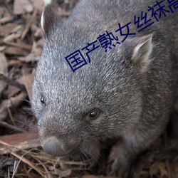 金年会 | 诚信至上金字招牌