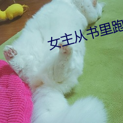 女(nǚ)主从(cóng)书里(lǐ)跑出来了怎么(me)办(bàn)
