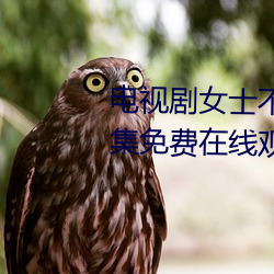 电(diàn)视剧女(nǚ)士不(bù)遮阴小内搭走(zǒu)秀全集免(miǎn)费(fèi)在线观(guān)看