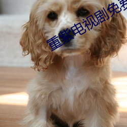 重紫(紫)电(電)视(視)剧(劇)免费(費)观看在(在)线