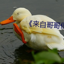 尊龙凯时-人生就是搏!
