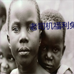 老司机福利免费