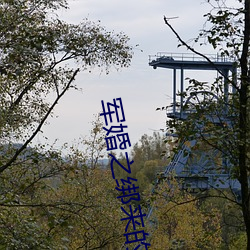 軍婚之綁來的新娘