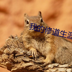 我的修道生涯