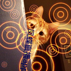 金年会 | 诚信至上金字招牌
