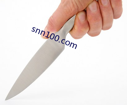 snn100.com