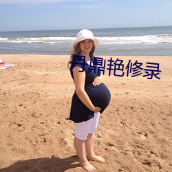 丹鼎艳修录 （卓有成效）