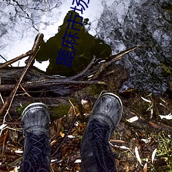 蓖麻(má)市(shì)场价格